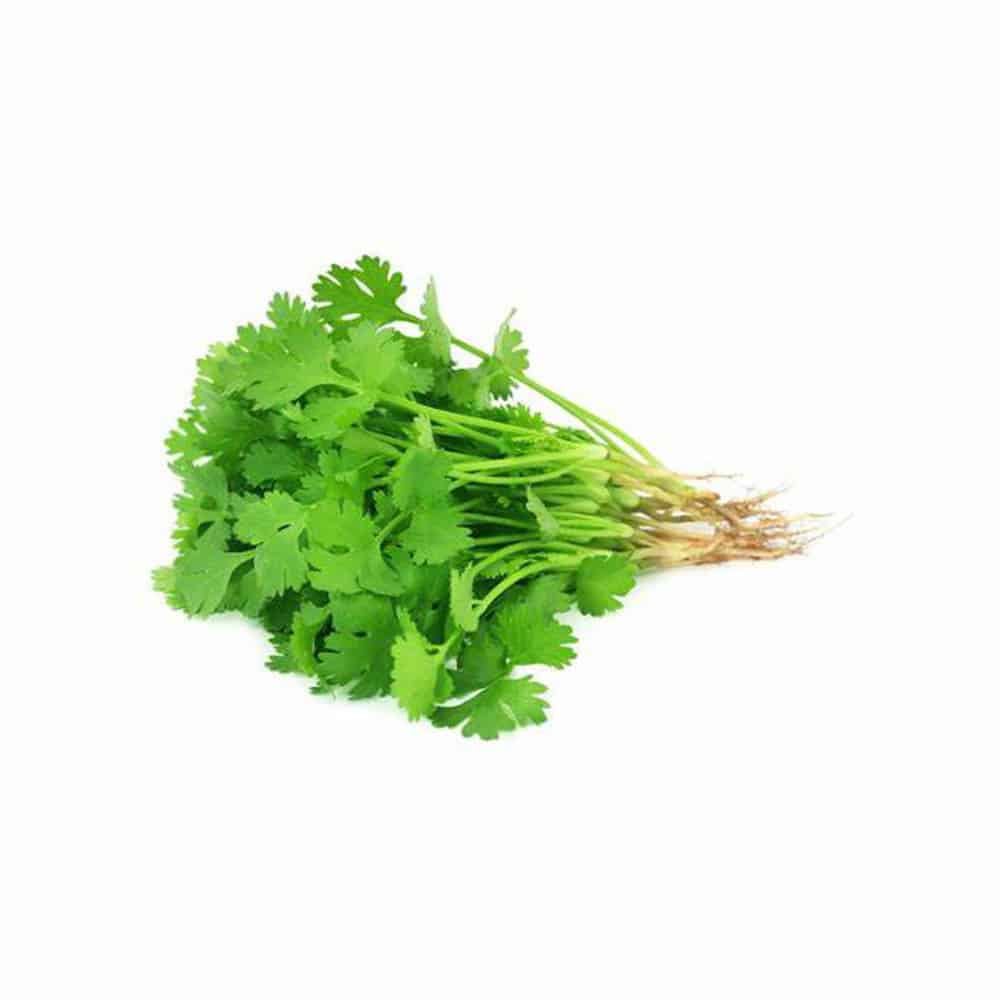dhaniya-coriander